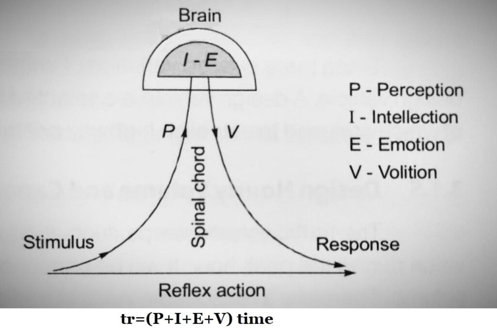TOTAL REACTION TIME OR PIEV PROCESS